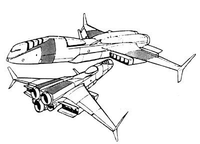 Albatross Line Drawing