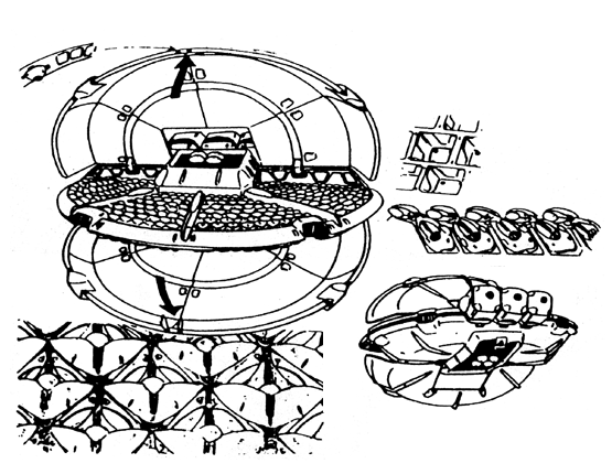 Mollusk - Open view and bay details