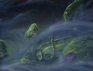 Optera Surface