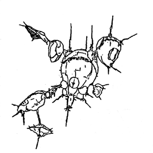 Robotech Repair Facility - Underside Oblique